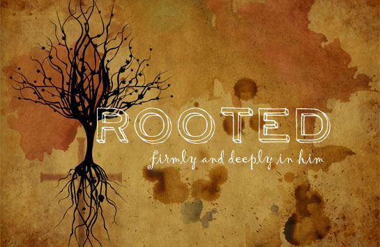 091611_rooted