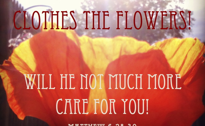 Weight a Minute! god-flowers-you