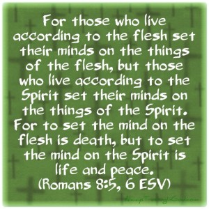 Romans 8 5 6