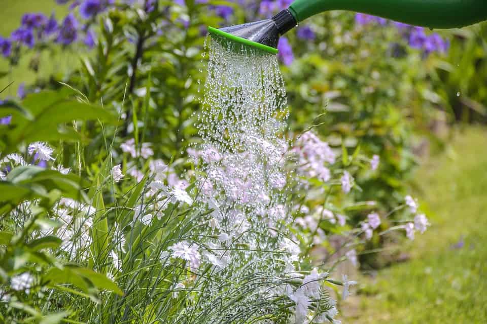 Garden-Watering Lessons