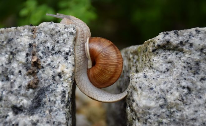 3 Strategies to Overcome Obstacles on Your Thin Within Journey Difficulties and obstacles are part of the Thin Within journey. Let's be Overcomers.