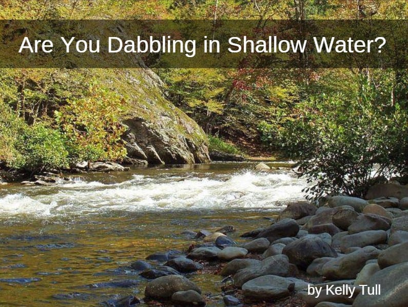 Are You Dabbling in Shallow Water?