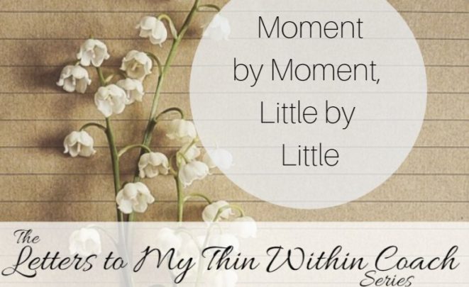 Moment by Moment, Little by Little Wanda Walker - Title graphic - Moment by Moment