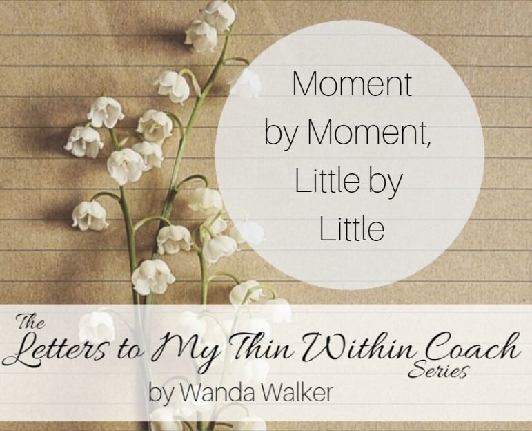 Moment by Moment, Little by Little