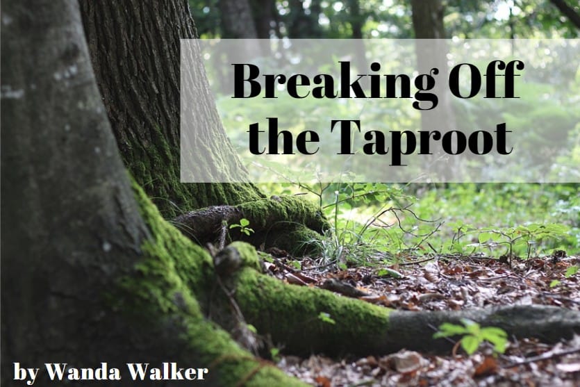 Breaking Off the Taproot