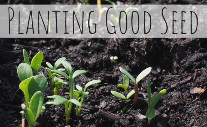 Planting Good Seed TW TITLE GRAPHIC - Planting Good Seed