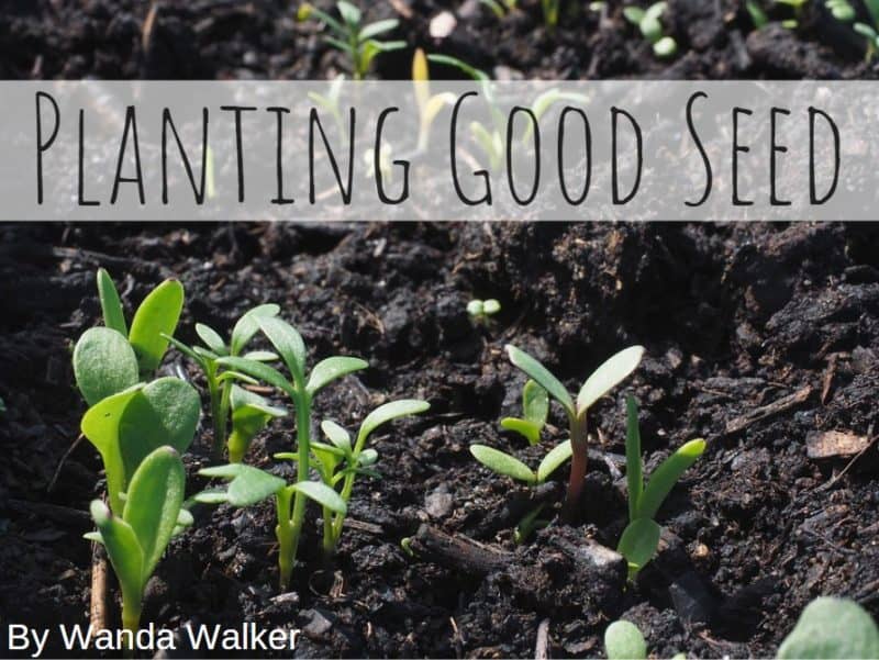 Planting Good Seed Revelation Within