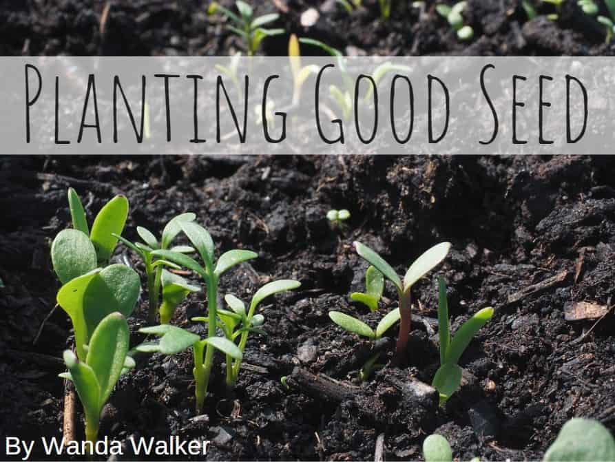 Planting Good Seed