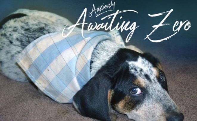 Anxiously Awaiting Zero TW TITLE GRAPHIC - Anxiously Awaiting Zero 4