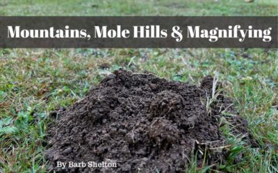 Mountains, Mole Hills & Magnifying